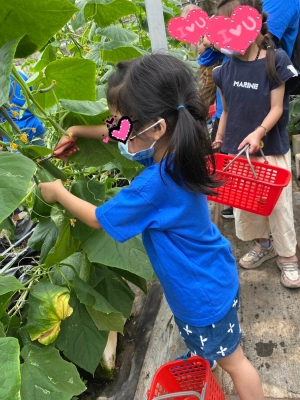 0629小小果農家族樂