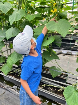 0629小小果農家族樂