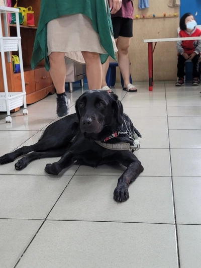 112.11.11台灣導盲犬協會，生命教育宣導