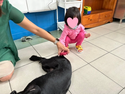 112.11.11台灣導盲犬協會，生命教育宣導