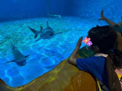 0718野柳海洋世界一日遊