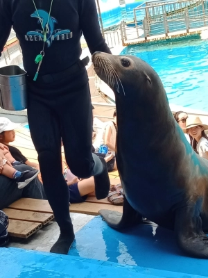 0718野柳海洋世界一日遊